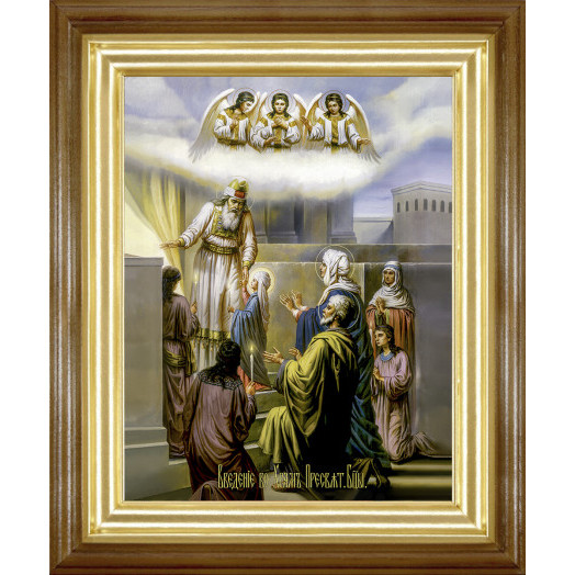 Введение во храм Пресвятой Богородицы 