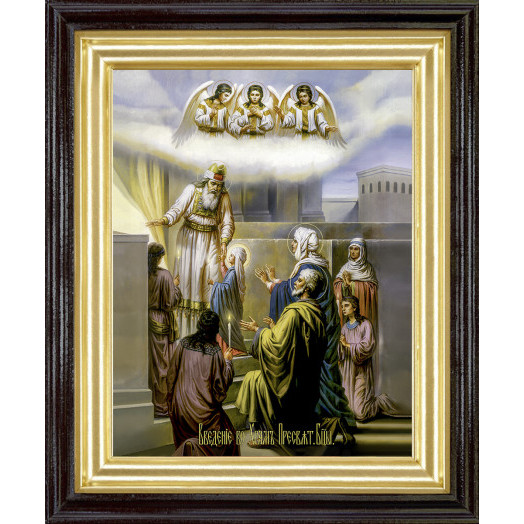 Введение во храм Пресвятой Богородицы 