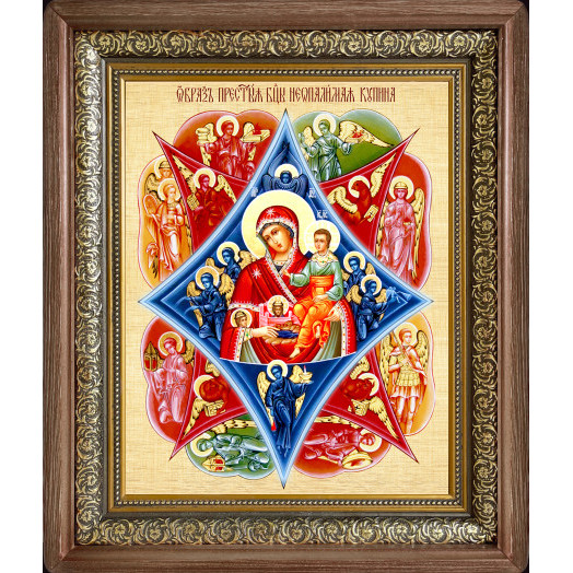 Неопалимая Купина Б.М.