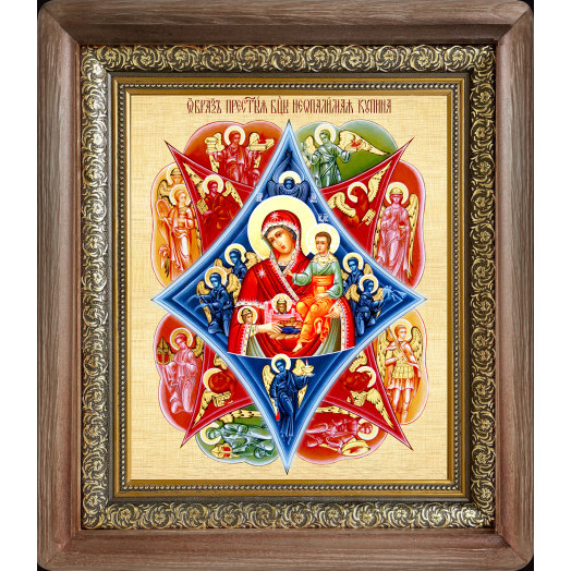 Неопалимая Купина Б.М.