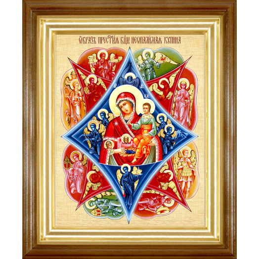 Неопалимая Купина Б.М.