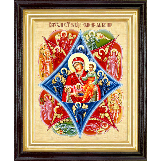 Неопалимая Купина Б.М.