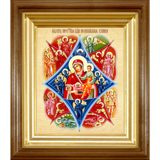 Неопалимая Купина Б.М.