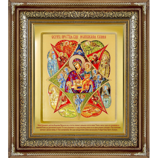 Неопалимая Купина Б.М.