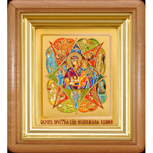 Неопалимая Купина Б.М.