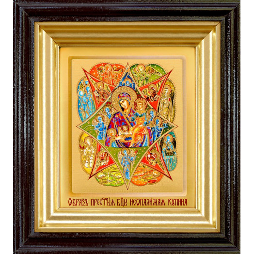 Неопалимая Купина Б.М.