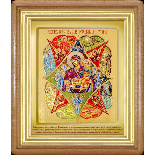 Неопалимая Купина Б.М.