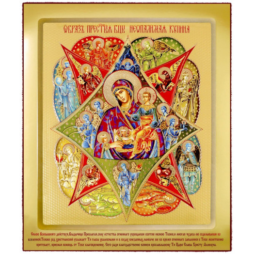 Неопалимая Купина Б.М.