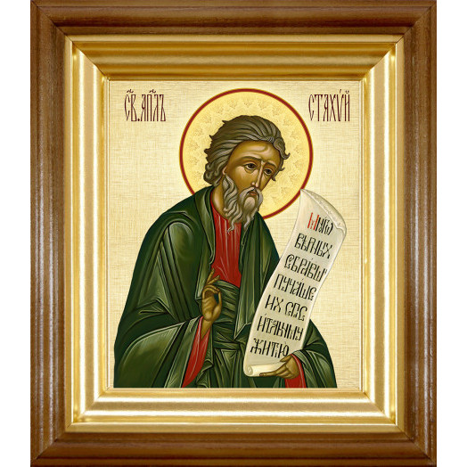 Св. апостол Стахий Св. апостол Стахий