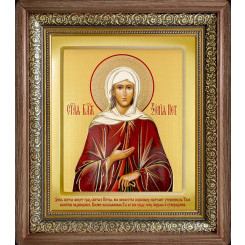 Св. Ксения Петербургская